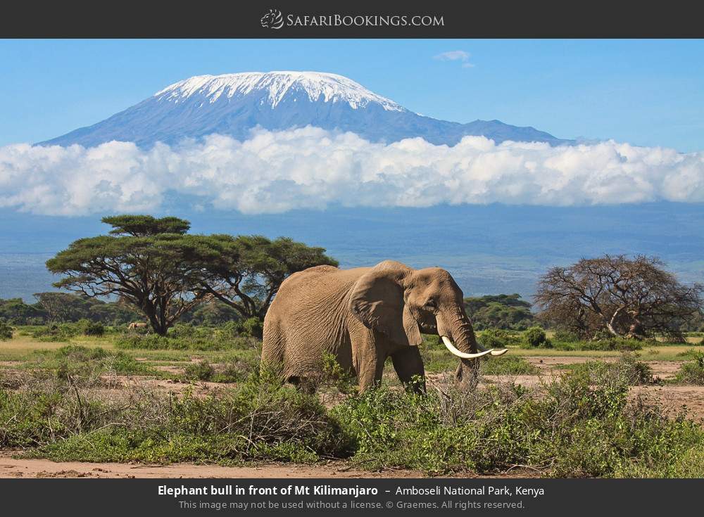 6 Days 5 Nights Midrange Kenya Wildlife Safari Vacation